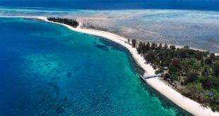 Ini dia 8 Alasan Kenapa Kamu Wajib Berkunjung ke Pulau Morotai Maluku Utara