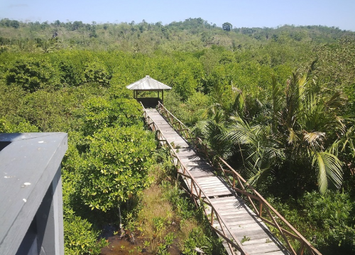 Hutan Mangrove Kampung Laut Cilacap