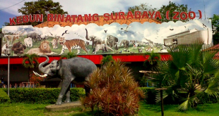 Kebun Binatang Surabaya