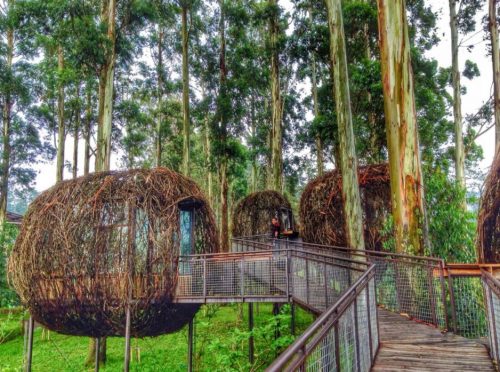 Dusun Bambu Lembang yang menawan